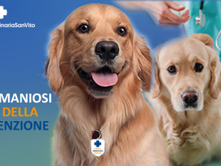 febbraio-mese-della-prevenzione-della-leishmaniosi
