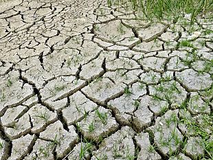 agricoltura-35-milioni-alle-aziende-siciliane-colpite-dalla-siccita