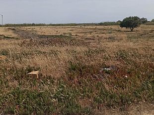 campobello-avviso-locazione-di-un-terreno-confiscato-alla-mafia-a-tre-fontane