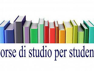 vita-in-pagamento-le-borse-di-studio
