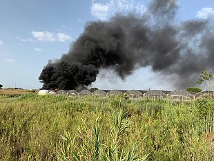 video-a-fuoco-una-serra-a-triscina-nuvole-di-fumo-nel-cielo-della-borgata