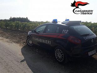 marsala-sorpresi-dai-carabinieri-a-rubare-uva-in-un-terreno-un-arresto-e-tre-denunce