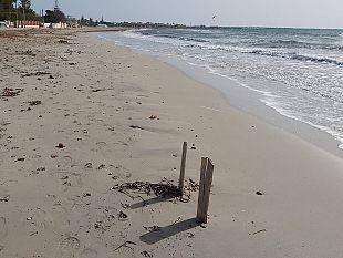 mazara-problematiche-stagione-balneare-sib-e-confcommercio-scrivono-al-sindaco-quinci