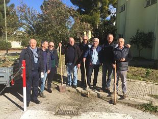 i-soci-lions-castelvetrano-al-lavoro-nel-giardino-del-plesso-medi