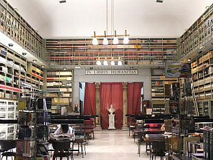 umido-sui-tetti-la-biblioteca-fardelliana-chiude-per-manutenzione