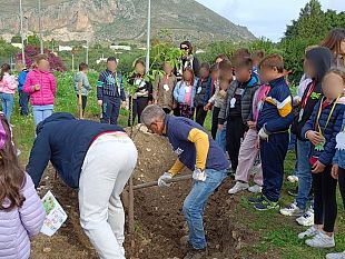 giornata-nazionale-dellalbero-ad-erice