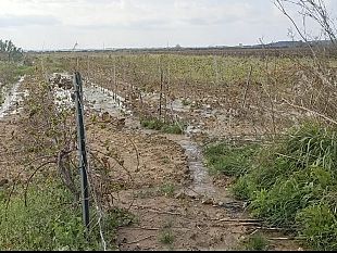 entro-una-settimana-interverremo-per-sistemare-la-falla-nel-tratto-mazarese-dalla-condotta-di-bresciana
