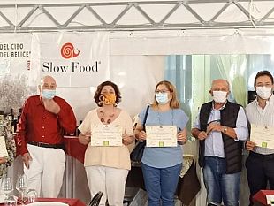 nasce-la-comunita-slow-food-dei-produttori-olivicoli-dellagro-selinuntino