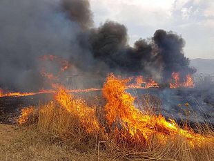 prevenzione-incendi-2023-emanata-lordinanza-dal-sindaco