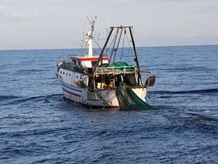 pesca-fondo-nazionale-di-solidarieta-scognamiglio-unci-agroalimentare-passo-in-avanti-per-il-settore