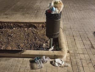 viale-delle-sirene-arrivano-le-piante-per-le-aiuole-ma-rimane-il-problema-della-spazzatura