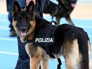 salemi/nascondeva-2-pistole-nella-cinta-dei-pantaloni-arrestata-31enne