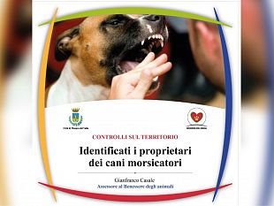 mazara-cani-di-proprieta-lassessore-casale-annuncia-serrati-controlli