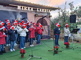 castelvetrano-listituto-lombardo-radice-pappalardo-stretto-un-abbraccio-per-mirea