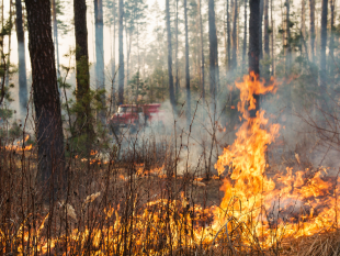 caltanissetta-prevenzione-incendi-emanate-misure-a-tutela-del-cittadino-e-dellincolumita-pubblica