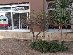 il-parlamentare-europeo-del-m5s-giuseppe-antoci-domenica-sara-a-trapani