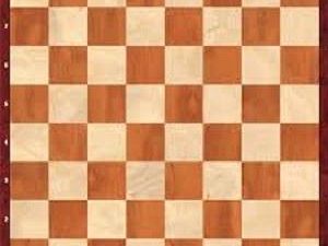 marino-con-gli-scacchi-fa-il-bis-al-liceo-adria-ballatore