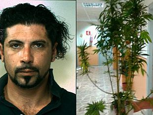 castelvetrano-carabinieri-un-arresto-per-coltivazione-di-marijuana