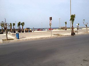 lungomare-san-vito-dati-arpa-su-presenza-oltre-il-limiti-consentiti-di-ostreopsis-ovata