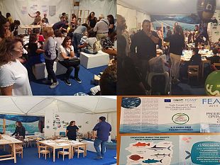 blue-fish-il-progetto-per-i-piu-piccoli-promosso-dal-mipaaft-a-blue-sea-land