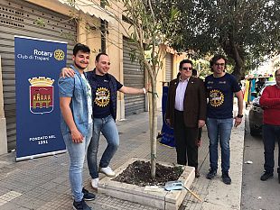 un-albero-un-socio-liniziativa-del-rotary-club-per-celebrare-la-giornata-della-terra