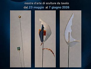 ad-alcamo-in-mostra-i-fiori-vibranti-di-vincenzo-settipani