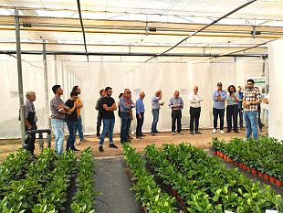 innovazioni-nelle-produzioni-orticole-e-floricole-una-conferenza-a-marsala-nellambito-del-progetto-innortifloris