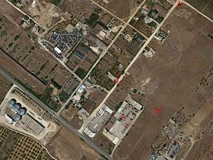 mazara-canile-comunale-in-immobile-confiscato-alla-mafia-approvato-il-progetto