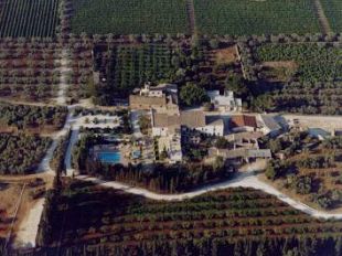 castelvetrano-convegno-sulle-opportunita-delle-aziende-agricole