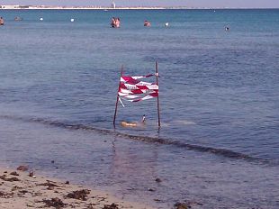 rimosso-il-tondino-in-ferro-sulla-spiaggia-di-tonnarella