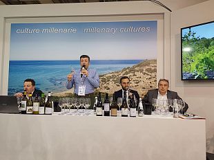alcamo-il-sindaco-surdi-al-vinitaly-per-rilanciare-il-vino-di-alcamo-orgoglio-del-territorio