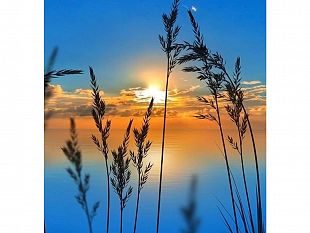 mazara-contest-la-foto-della-settimana-ecco-lo-scatto-vincente-6