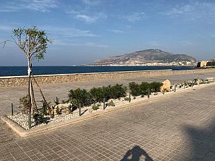 trapani-lassociazione-erythros-lavora-per-un-bene-comune-rilanciare-viale-delle-sirene