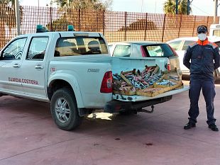 trapani-sequestrati-oltre-55-kg-di-prodotti-ittici-privi-di-tracciabilita