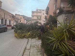 forte-vento-37-interventi-dei-vigili-del-fuoco-tra-alcamo-e-trapani
