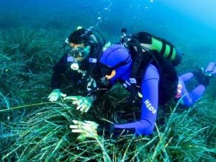 mazara/un-mare-per-tutti-la-sicilia-rende-accessibili-i-siti-archeologici-subacquei-ai-disabili