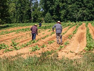 petrosino-il-19-ottobre-seminario-sul-tema-lo-sfruttamento-dei-lavoratori-limpegno-delle-istituzioni