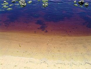 acque-rosse-sul-lungomare-mazzini