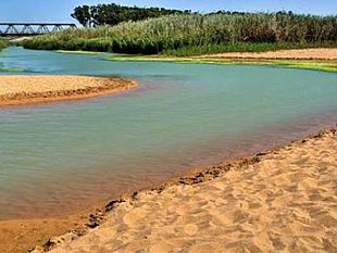 lassessore-parrino-castelvetrano-partner-progetto-start-up-belice