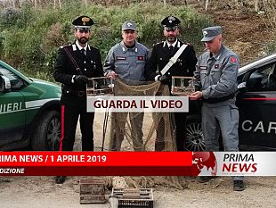 prima-news-1-aprile-seconda-edizione