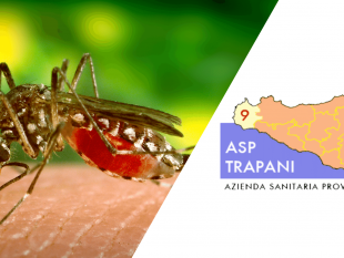 trapani/asp-trapani-domani-conferenza-stampa-virus-west-niles