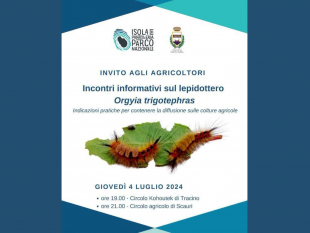 pantelleria-invito-agli-agricoltori-il-4-luglio-incontro-informativo-sul-lepidottero-orgyia-trigotephras