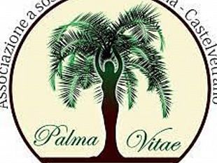 sportello-antiviolenza-le-precisazioni-di-palma-vitae