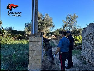 castelvetrano-controlli-dei-carabinieri-in-casolari-abbandonati-sequestrati-oltre-400-gr-di-sostanze-stupefacenti