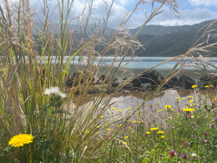 gli-auguri-di-pasqua-del-parco-nazionale-isola-di-pantelleria
