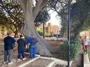 mazara-al-via-lavori-per-nuova-illuminazione-di-villa-jolanda