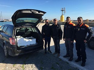 mazara-pescherecci-di-sciacca-pescavano-in-zona-vietata-16-000-euro-di-sanzioni-e-90-kg-di-pesce-azzurro-sequestrato