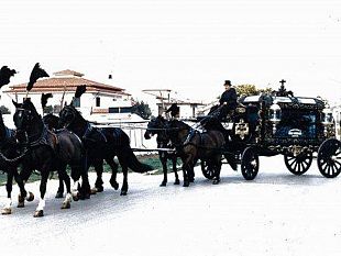 ultime-della-sera-le-mie-volonta