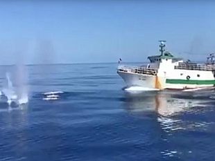 lampedusa-sparatoria-fra-motovedetta-gdf-e-peschereccio-tunisino-in-acque-territoriali