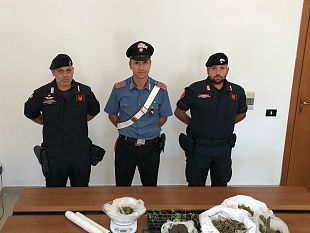 marsala-controlli-antidroga-dei-carabinieri-un-arresto-ed-un-denunciato